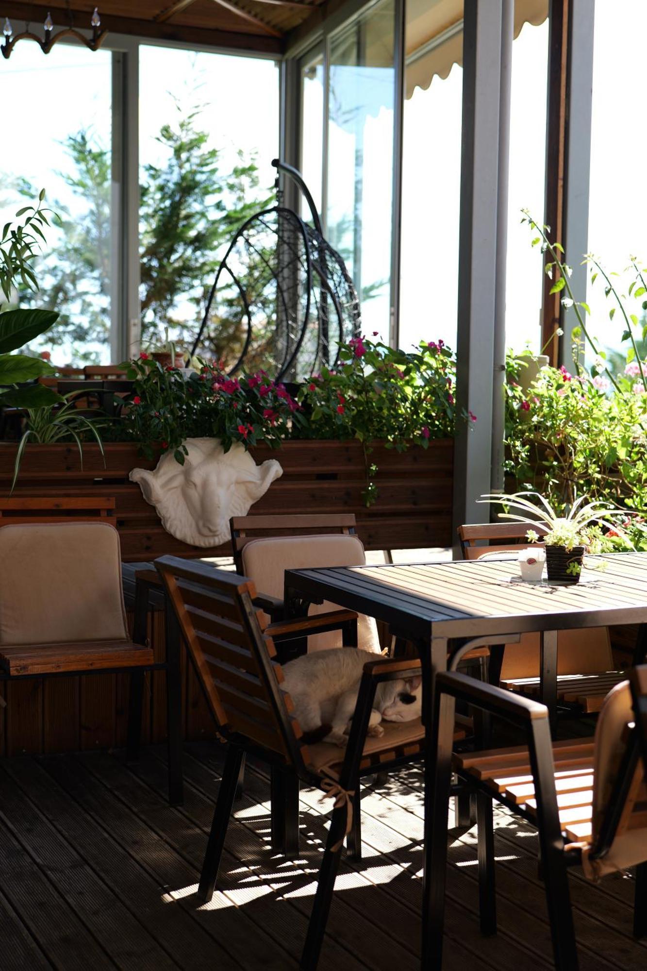 Abedini Hotel 3*